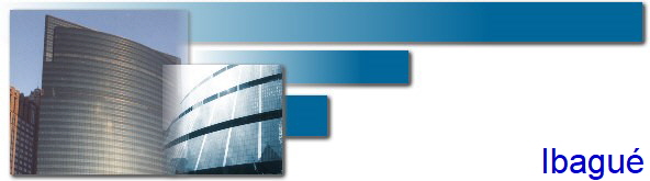 Ibagu�